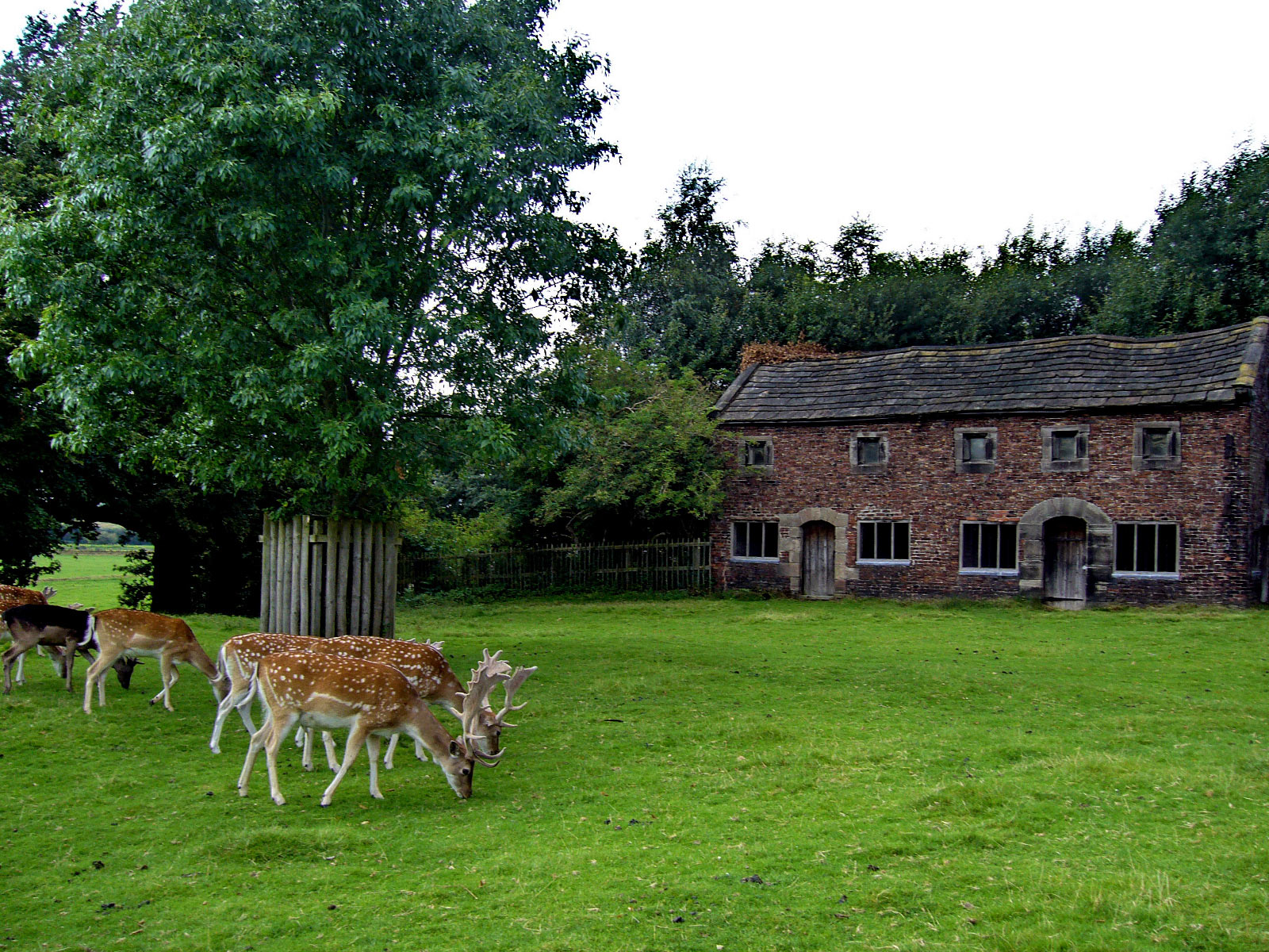 Dunham Massey